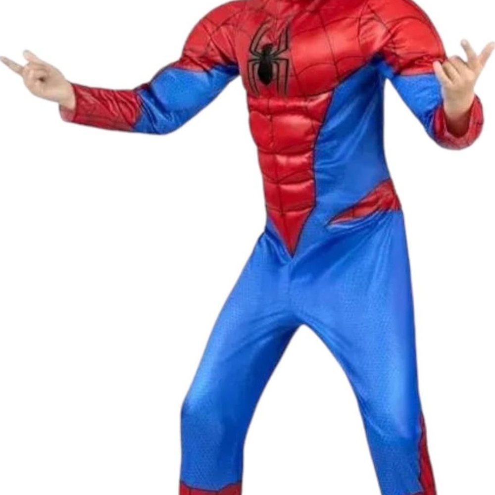 Kids Red and Blue Spider Hero Costume